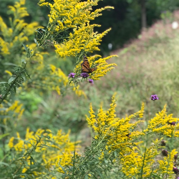 Hi! Welcome to my corner 👋🏻 - Picture 1 of 1